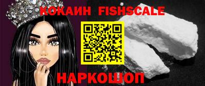 стафф Кингисепп