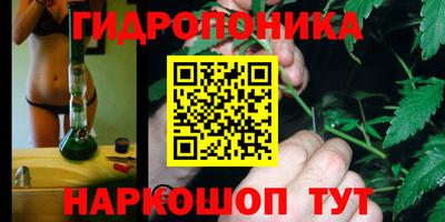 ПСИЛОЦИБИНОВЫЕ ГРИБЫ Кимры