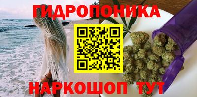 ECSTASY Камышлов