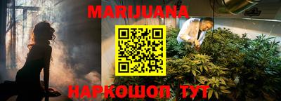 стафф Кингисепп