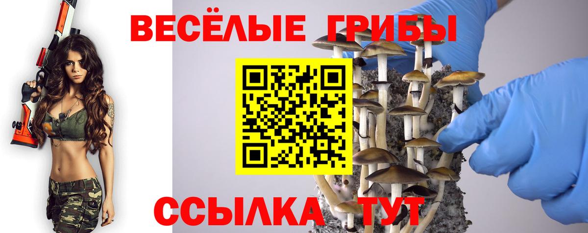 Псилоцибиновые грибы Cubensis Краснодар