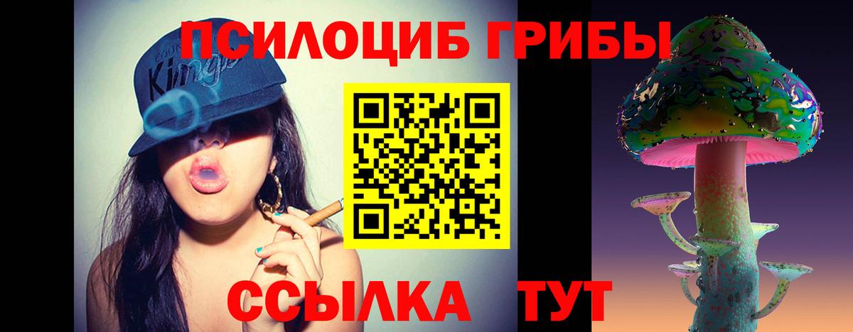 Краснодар  Псилоцибиновые грибы MAGIC MUSHROOMS  Вход с VPN  Псилоцибиновые грибы Magic Shrooms 